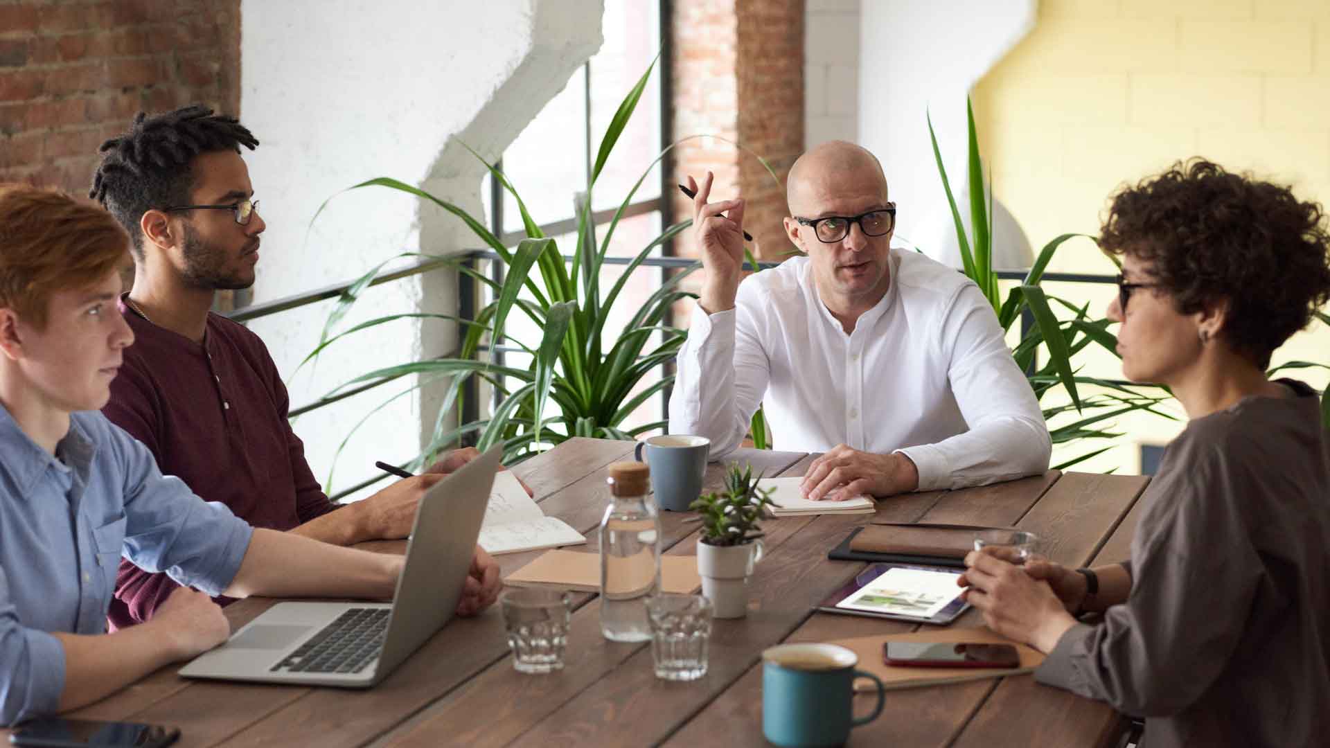 Cotele Moștenitorilor